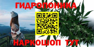 каннабис Новозыбков