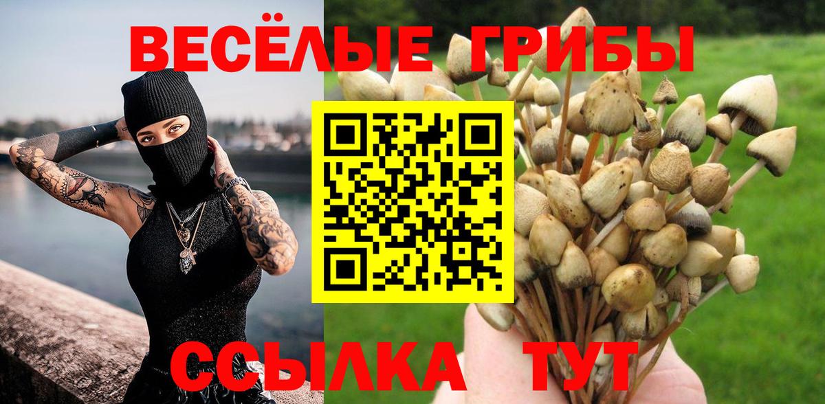 Тольятти  цена наркотик  Вход с VPN  Галлюциногенные грибы MAGIC MUSHROOMS 