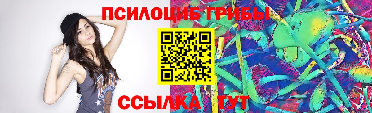 Галлюциногенные грибы Magic Shrooms Тольятти